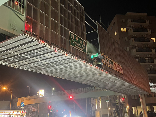 美園横断歩道橋